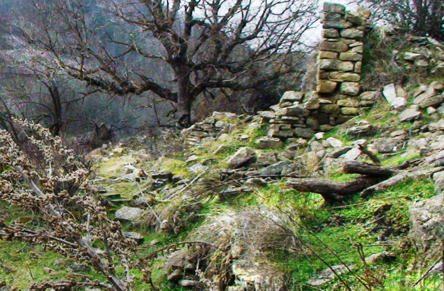 ΓΡΑΜΜΟΣ, «μαγικές εικόνες»